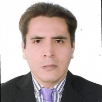 Sergio Castro Malqui