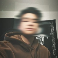 Viet Anh L.