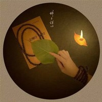 王许丹