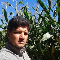 Glauco Foster Almeida