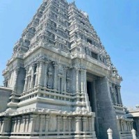 Rajshekhar Reddy
