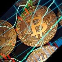 Elipse Trade