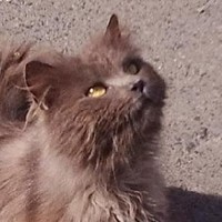 Евгений П.