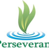 Administrator IT