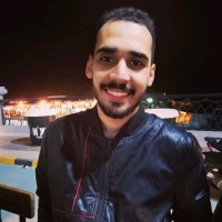 Mohamed Kamel
