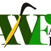 Aceh Wetland