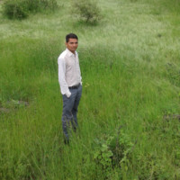 Dinesh Lovevanshi