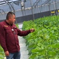 Raymundo Armenta Torres