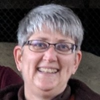 Lisa Pitkin