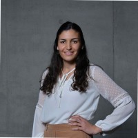 Sapir Noah