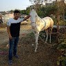 Vikas Sarkar