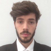 Michele Bertani
