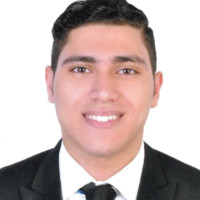 Mohammed Elhamady