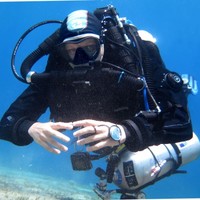 🌻🇺🇦Roman S.