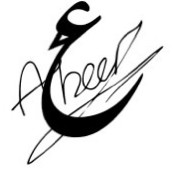 Abeer alotaibi