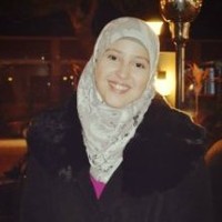 Alaa M. Youssef