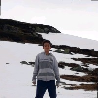 Luis Felipe Soares Da Silva