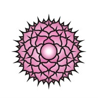 Lakshmi Enterprises