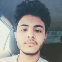 basel alareqi