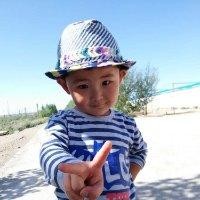 田风龙