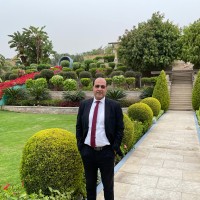 Hany El Sayad