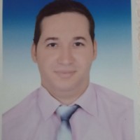 Amr Ayed