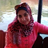 Dima El Gendy
