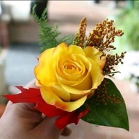 نور الفتلاوي