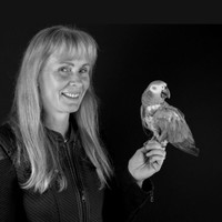 Diana Bohr