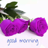 Biswajit Pcd