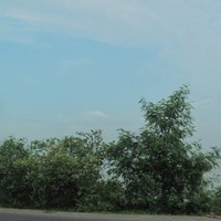 Irfan ali