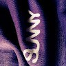Sunny Designs