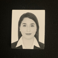 Itzel García Mercado