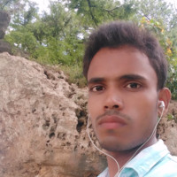 Md Tarif