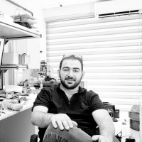 Samet Ç.