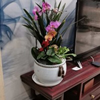 廖锦阳