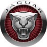 Stef Ane