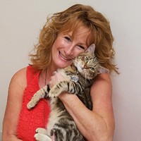 Kim Hurley Cat's Meow