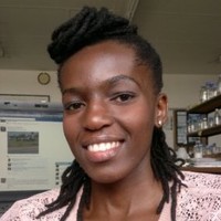 Lehlogonolo Mokgohloa