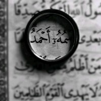 Ahmed Eltokhy