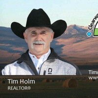 Tim Holm