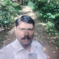 Francis Xavier J