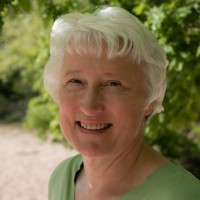 Liesbeth van Amerongen - Koelemij
