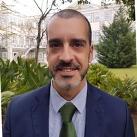 Luis Guerreiro