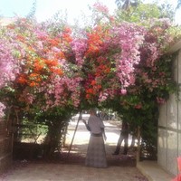 Naglaa Kamel