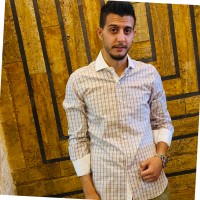 Fawzi Zaghlul