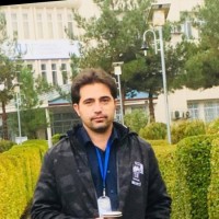 Muhammad Idrees Acca