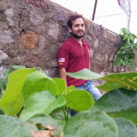 trinath nadikattla