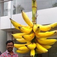 Mohamed Abdul Haleem