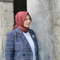 elif demir